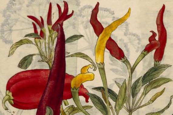 chilli_madras_courier