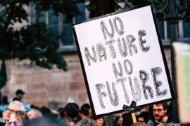 climate_change_activism_madras_courier