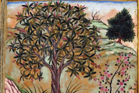 mughals_and_mangos_madras_courier