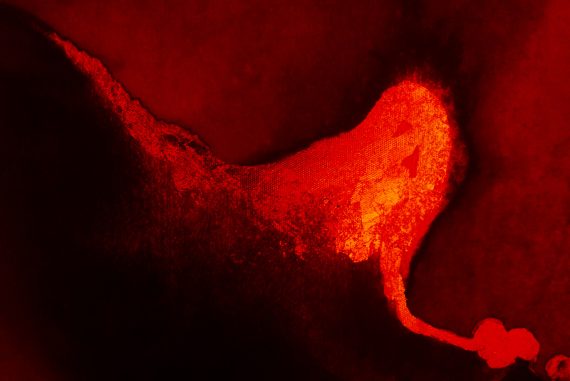 indian_gods_madras_courier