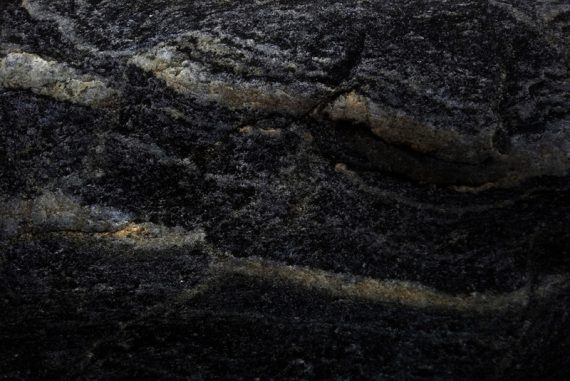 starlings_madras_courier