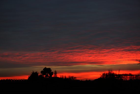 poetry_madras_courier