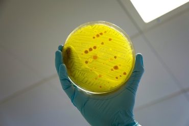 Antimicrobial_resistance_Madras_Courier