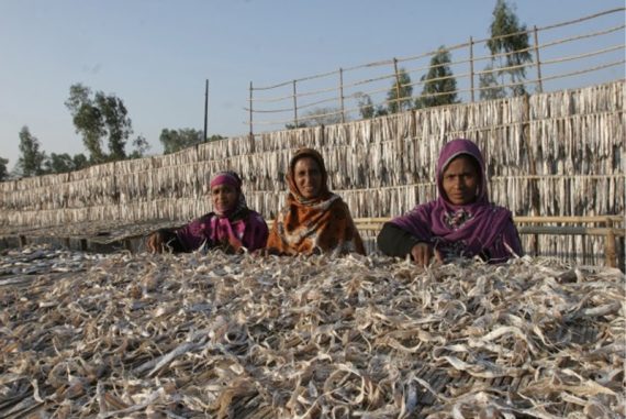 Grameen_Bank_Madras_Courier