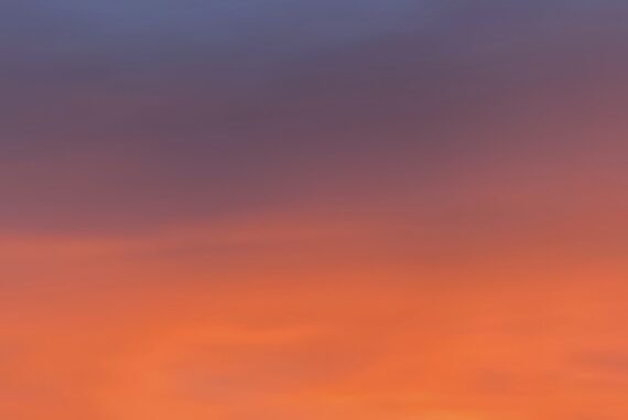 peace-madras-courier