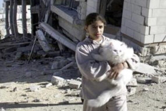 palestine_madras_courier