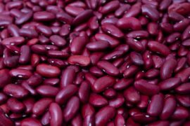 rajma-protein-portuguese-madras-courier