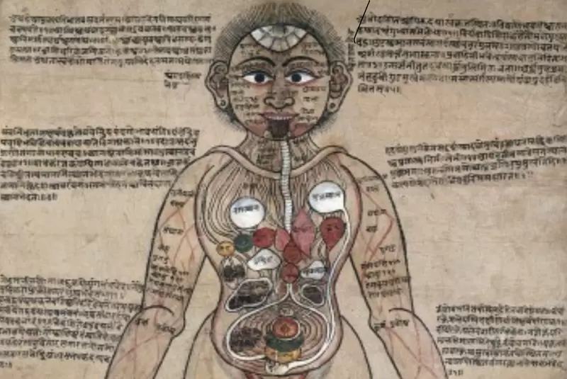 Medicine-Myth-Madras-courier