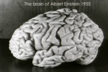 Einstein-Brain-Madras-Courier