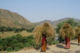 Rural-women-India-madras-courier