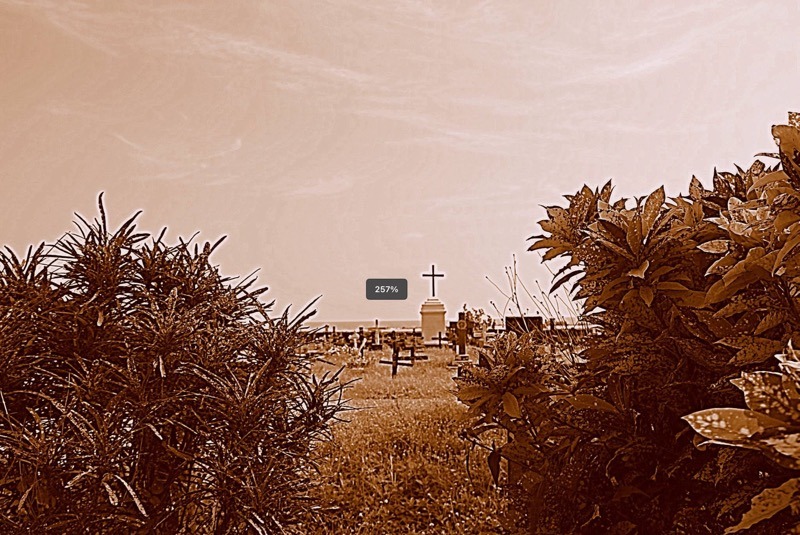 Tellicherry-Madras-Courier