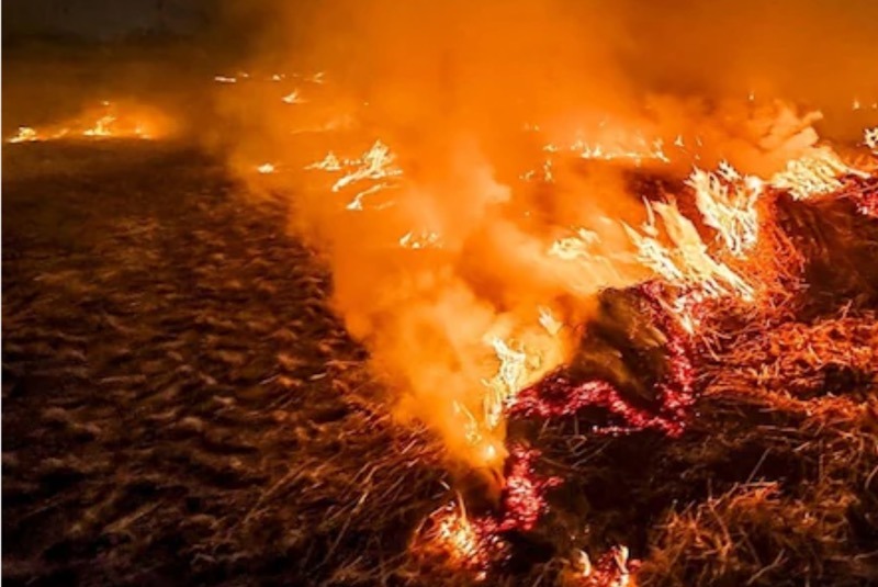 Stubble-Madras-Courier