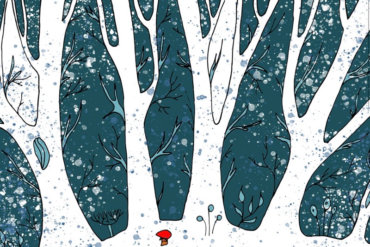 Winter-madras-courier