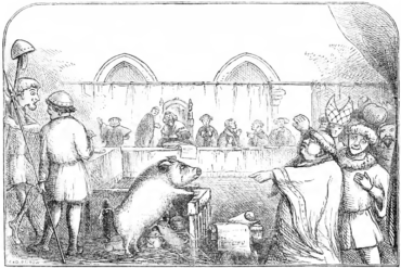 Animal-Justice-Madras-Courier