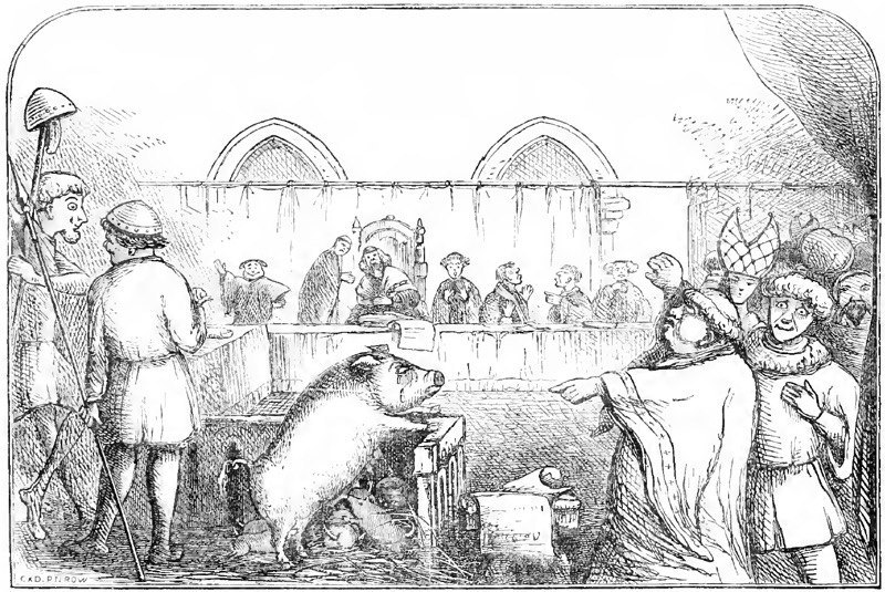 Animal-Justice-Madras-Courier