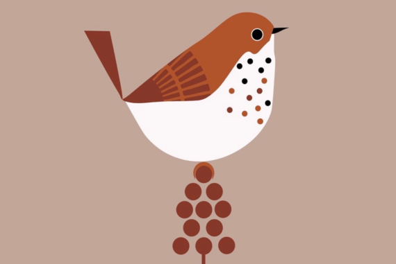 Another-Day-Madras-Courier