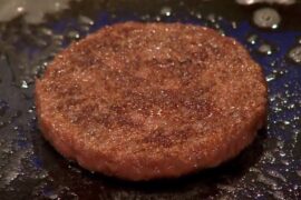 Cultured-meat-madras-courier