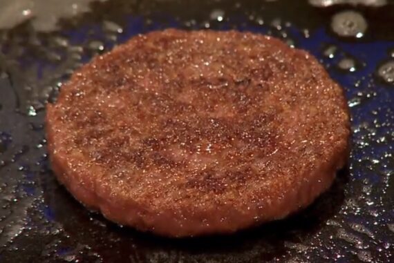 Cultured-meat-madras-courier