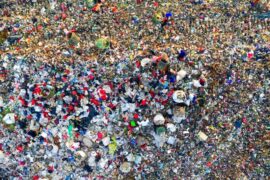 Microplastics-Madras-Courier