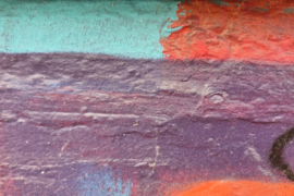 walls-Madras-Courier