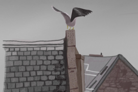 Bird-Madras-Courier