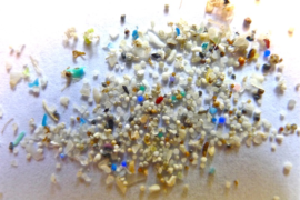 Microplastics-Madras-Courier