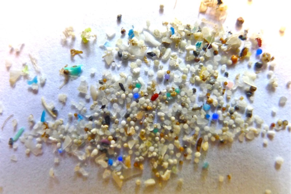 Microplastics-Madras-Courier